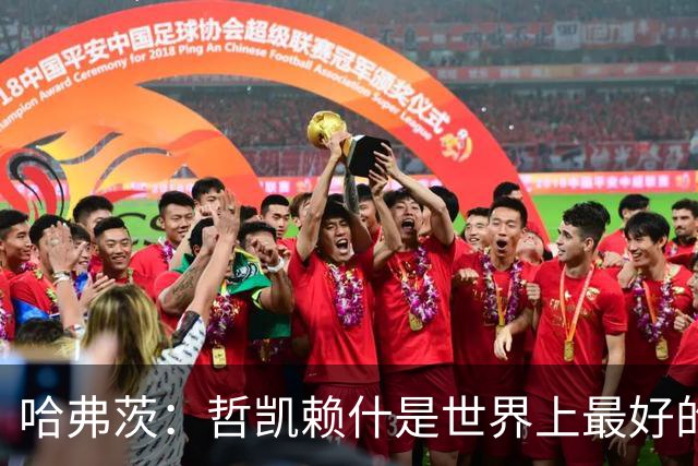 哈弗茨：哲凯赖什是世界上最好的前锋之一，和他踢球很容易