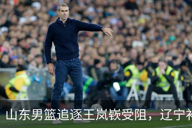 山东男篮追逐王岚嵚受阻，辽宁补偿分歧成关键